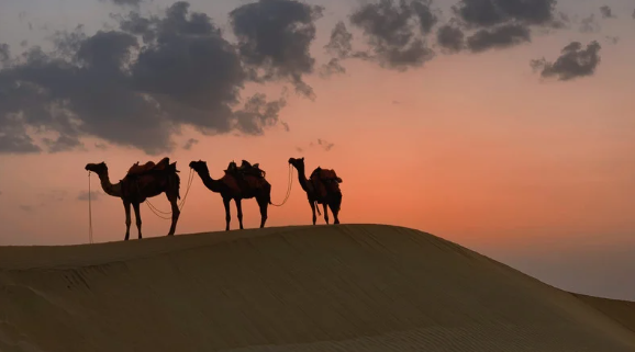 Camel Ride