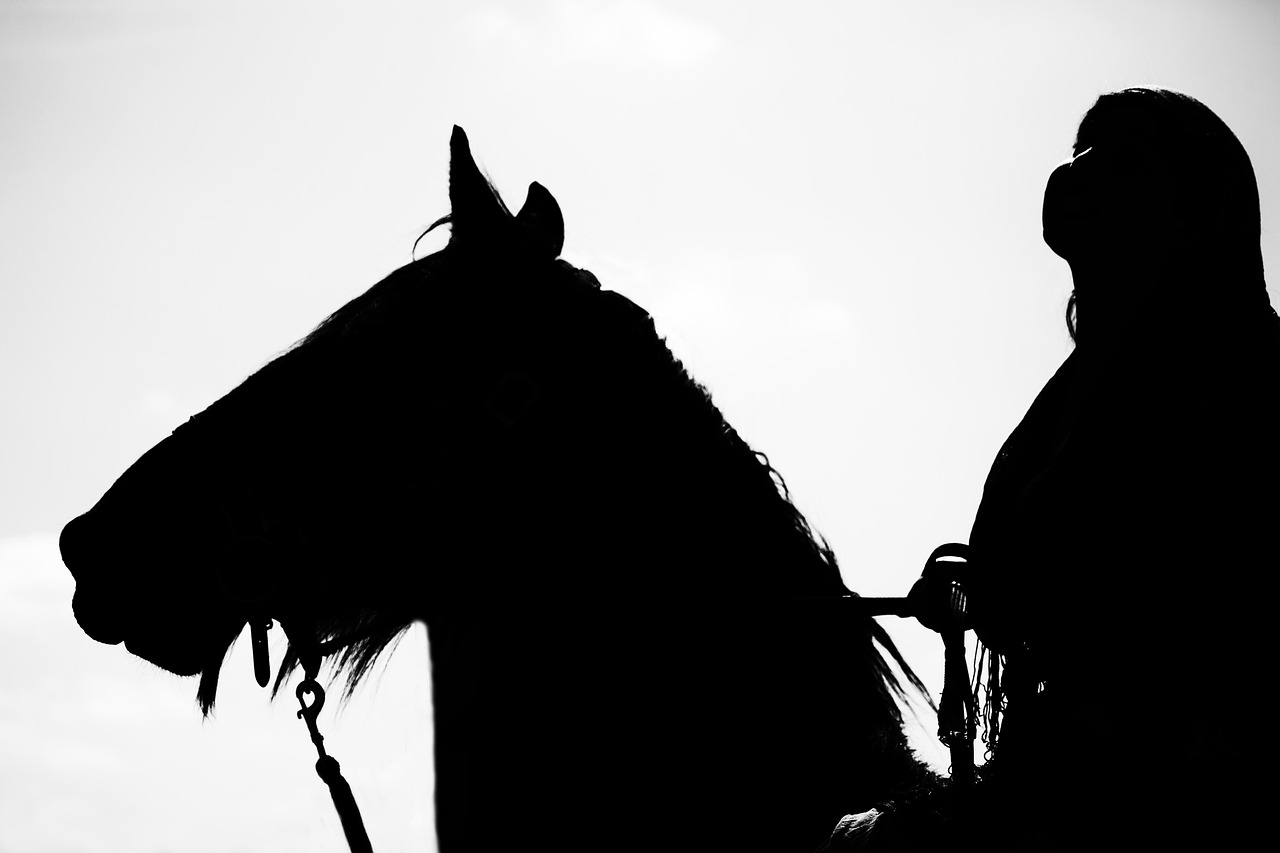 horse, equestrian show, equestrian, nature, show, performance, horse riding, to ride, rider, against the light