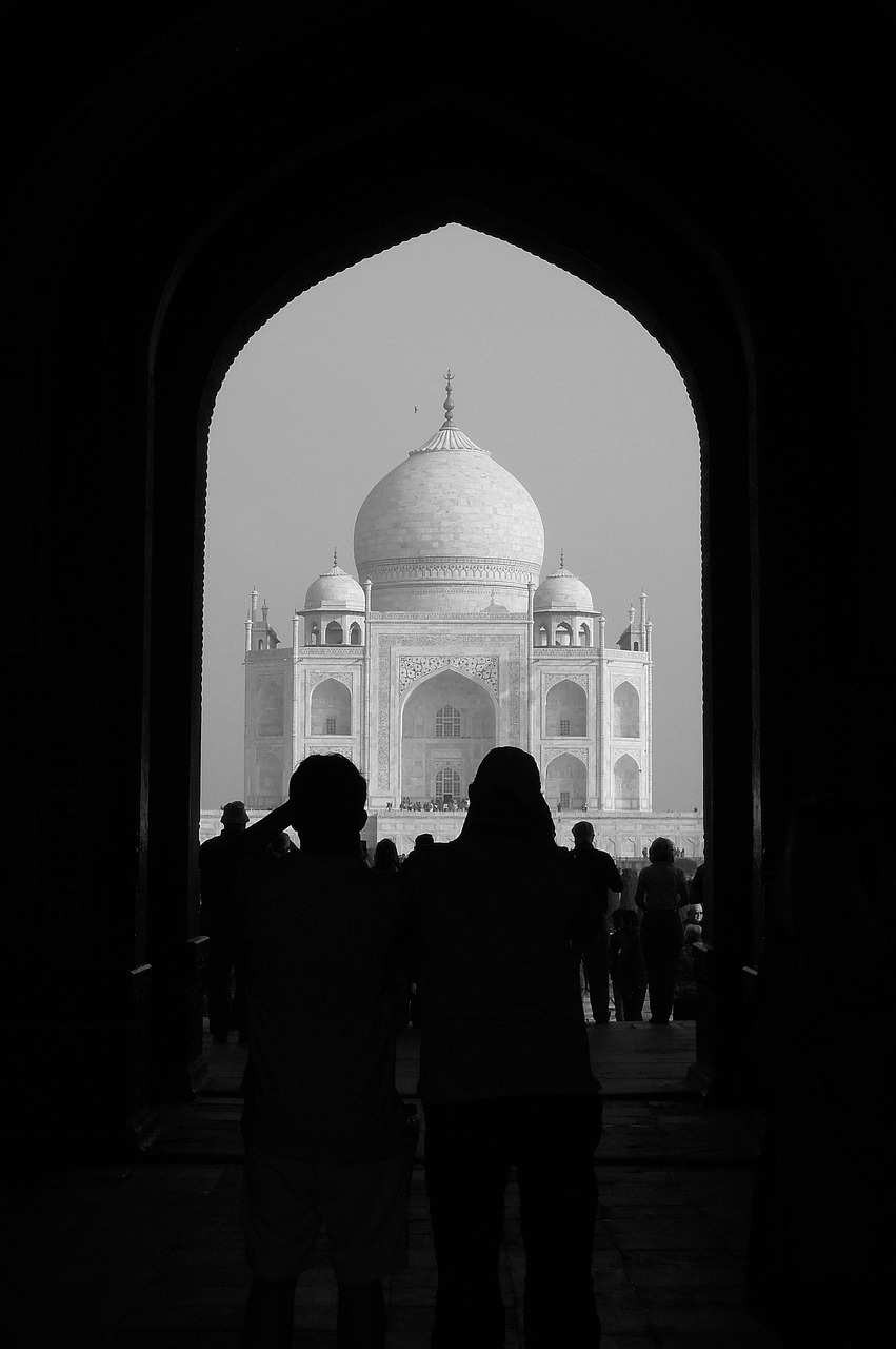 tajmahal, photographer, frame, india, structure, wall, sightseeing, tajmahal, tajmahal, tajmahal, tajmahal, tajmahal