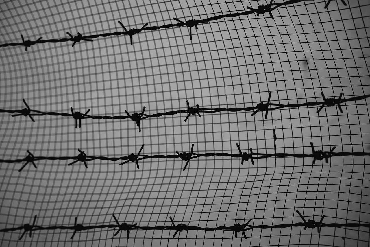 wire, barbed wire, fence, jail, security, metal, sharp, danger, protection, barrier, war, iron, border, grid, monochrome, jail, jail, jail, jail, jail