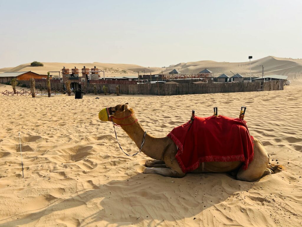 Dubai