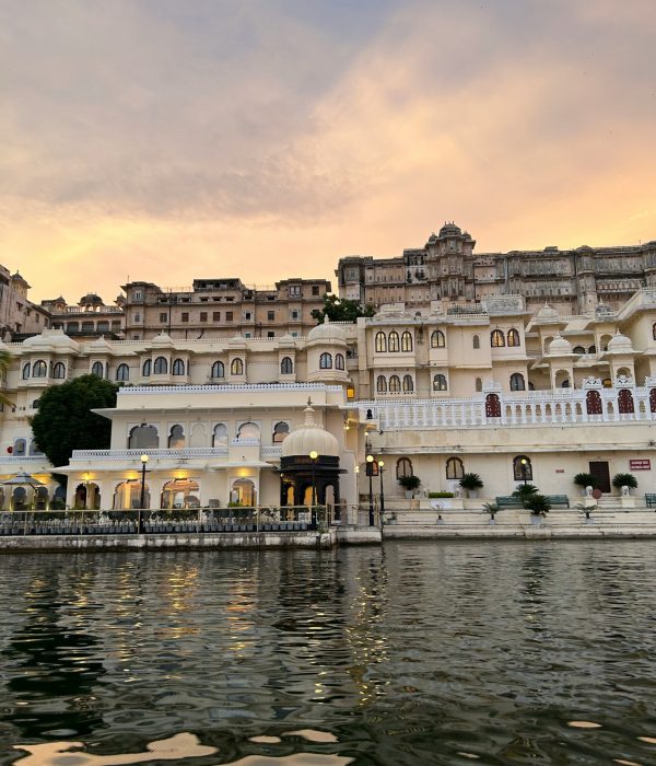 maitree-patel-t2x2R0ZpXpw-unsplash